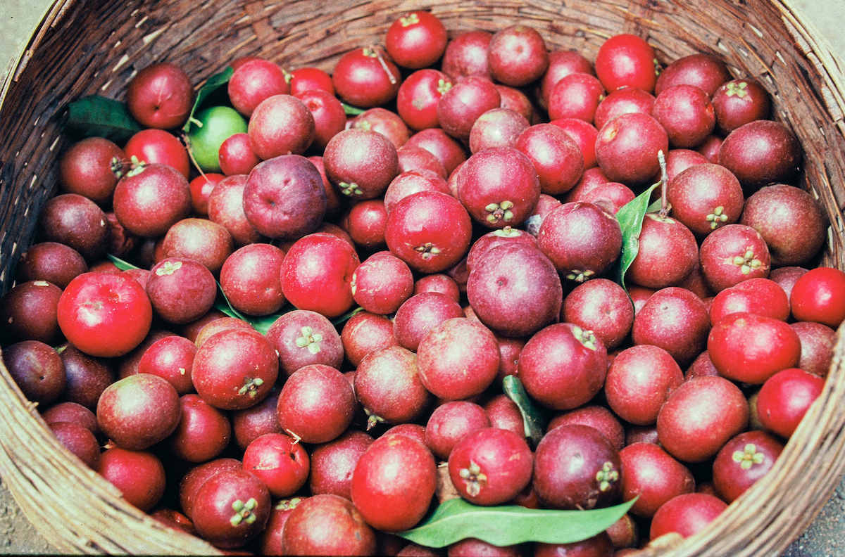 Kokum fruits in a large woven basket