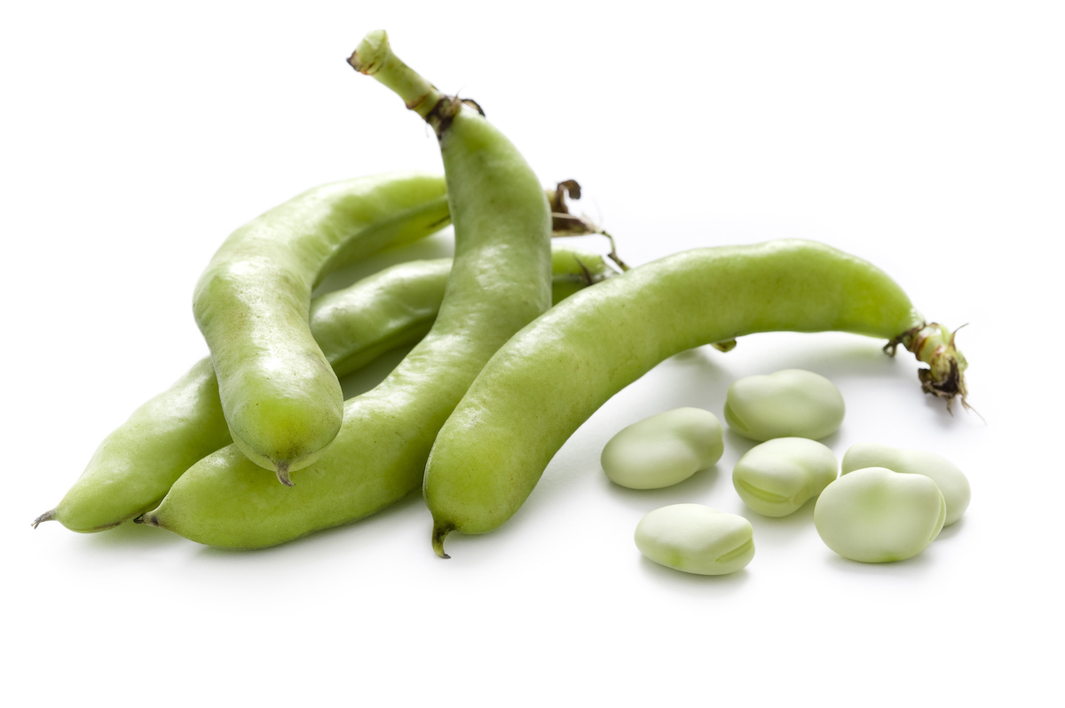 Whole fava bean pods and shelled beans on a white background