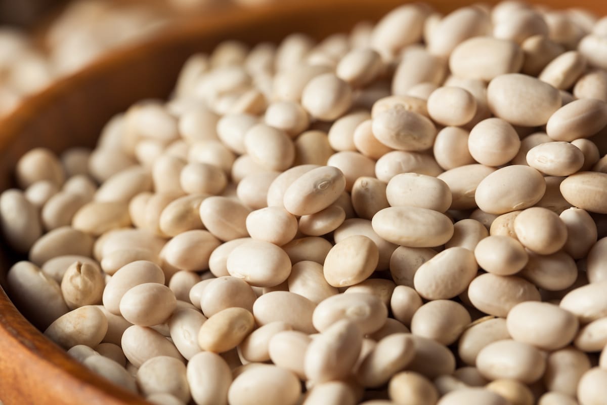 Close up of uncooked navy beans in a brown bowl