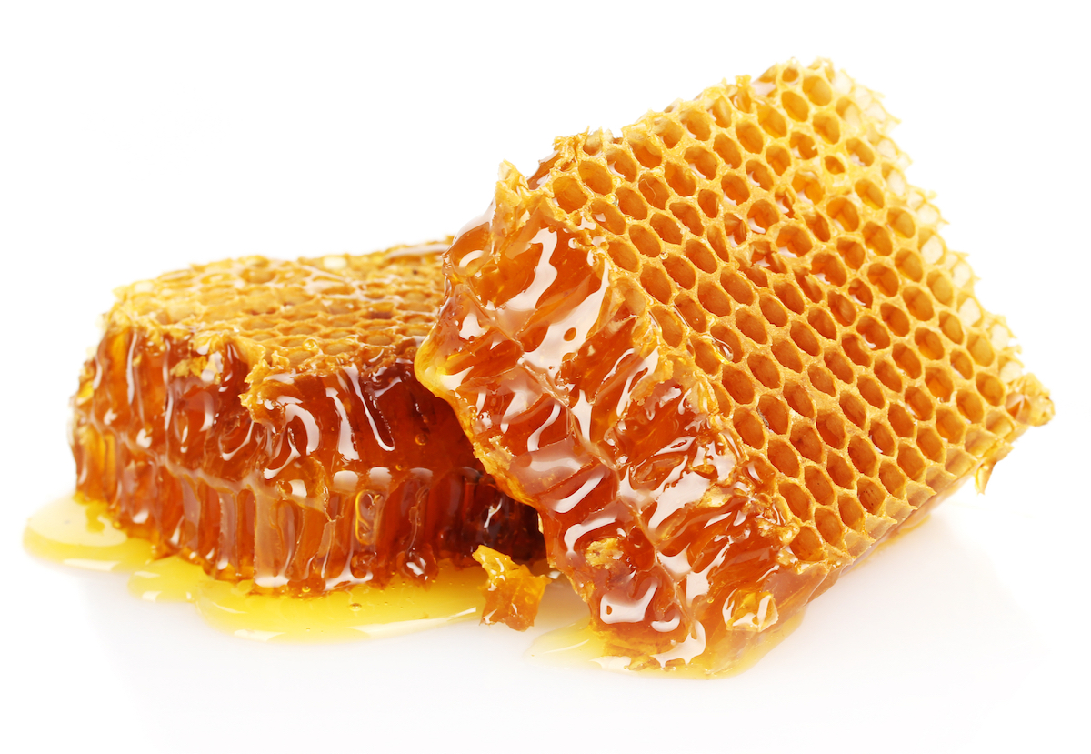 Two chunks of honeycomb on a white background