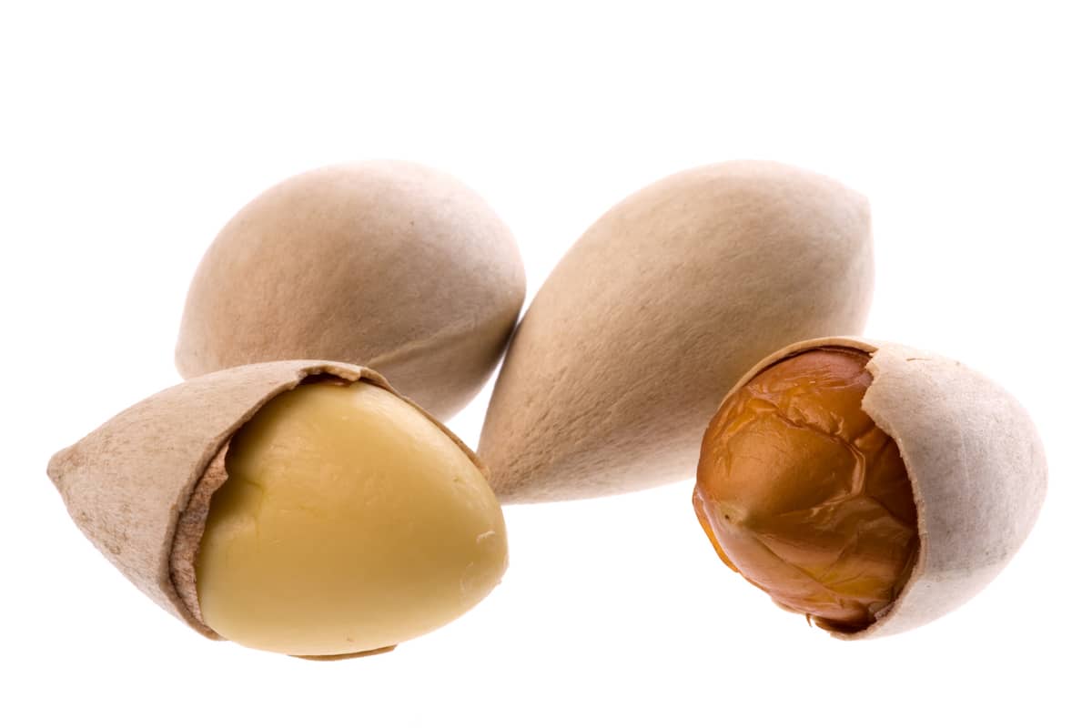 Closeup of whole and shelled ginkgo nuts on a white background