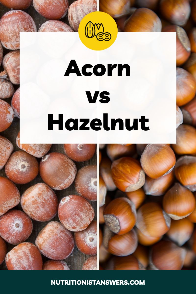 Acorn vs Hazelnut