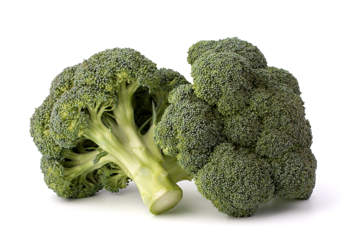 Two heads of broccoli on a white backdrop