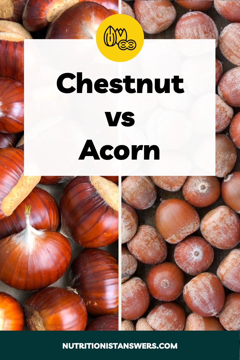 Chestnut vs Acorn