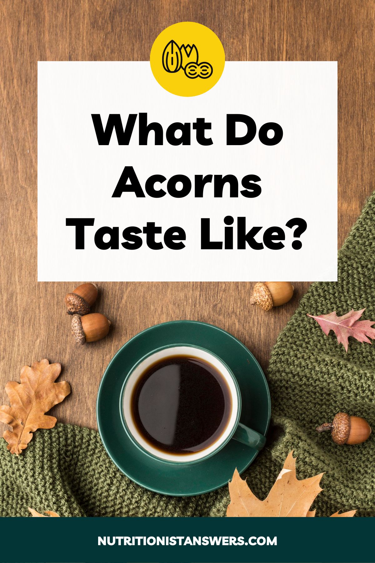 What Do Acorns Taste Like?