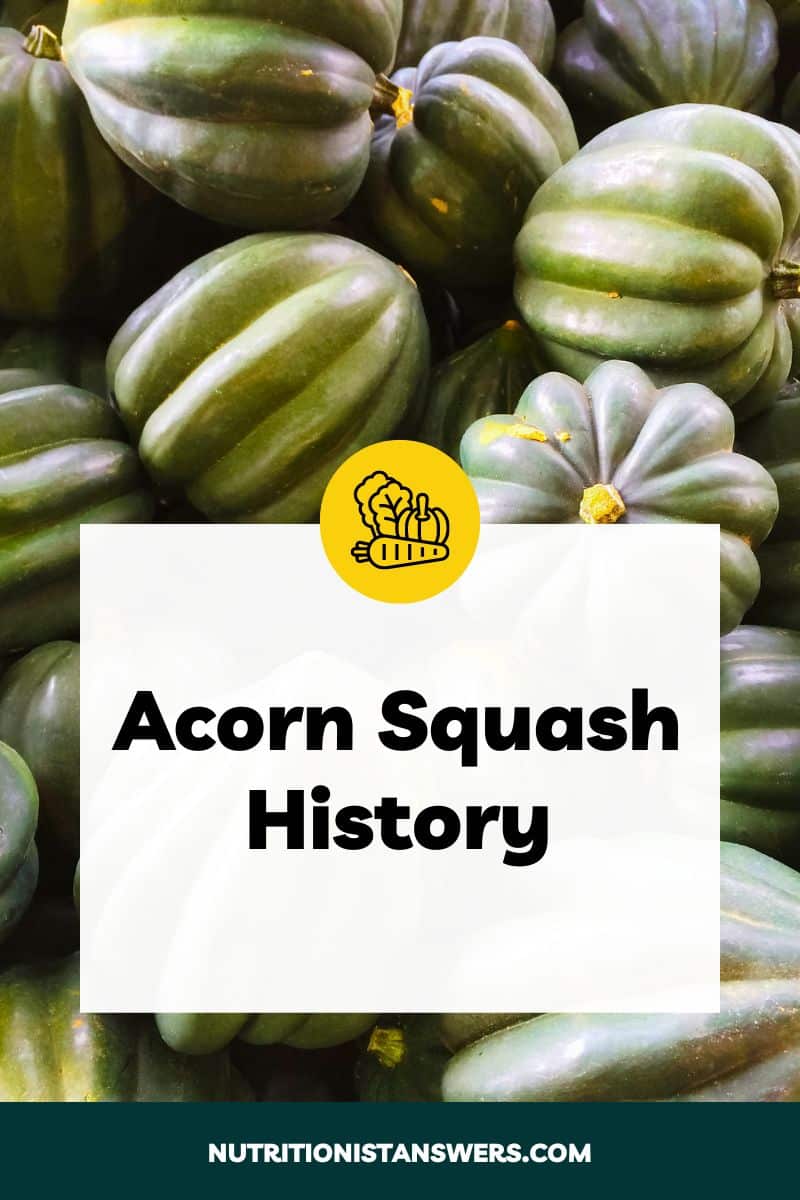 Acorn Squash History