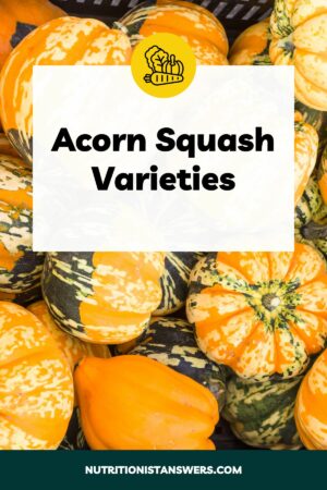 Acorn Squash Varieties: From Green to Gold