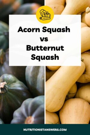 Acorn Squash vs Butternut Squash