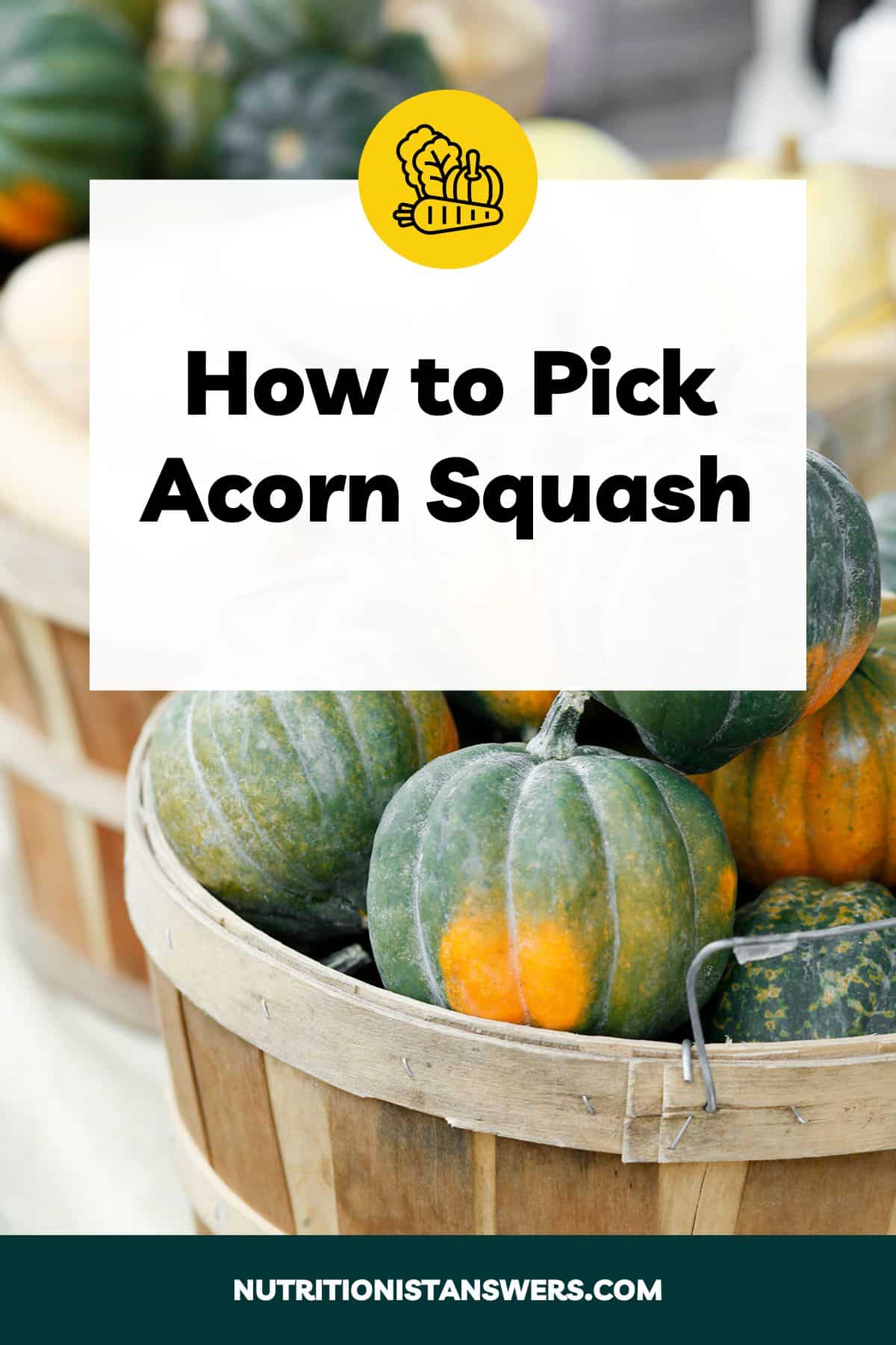 How to Pick Acorn Squash: Tips from a Nutritionist