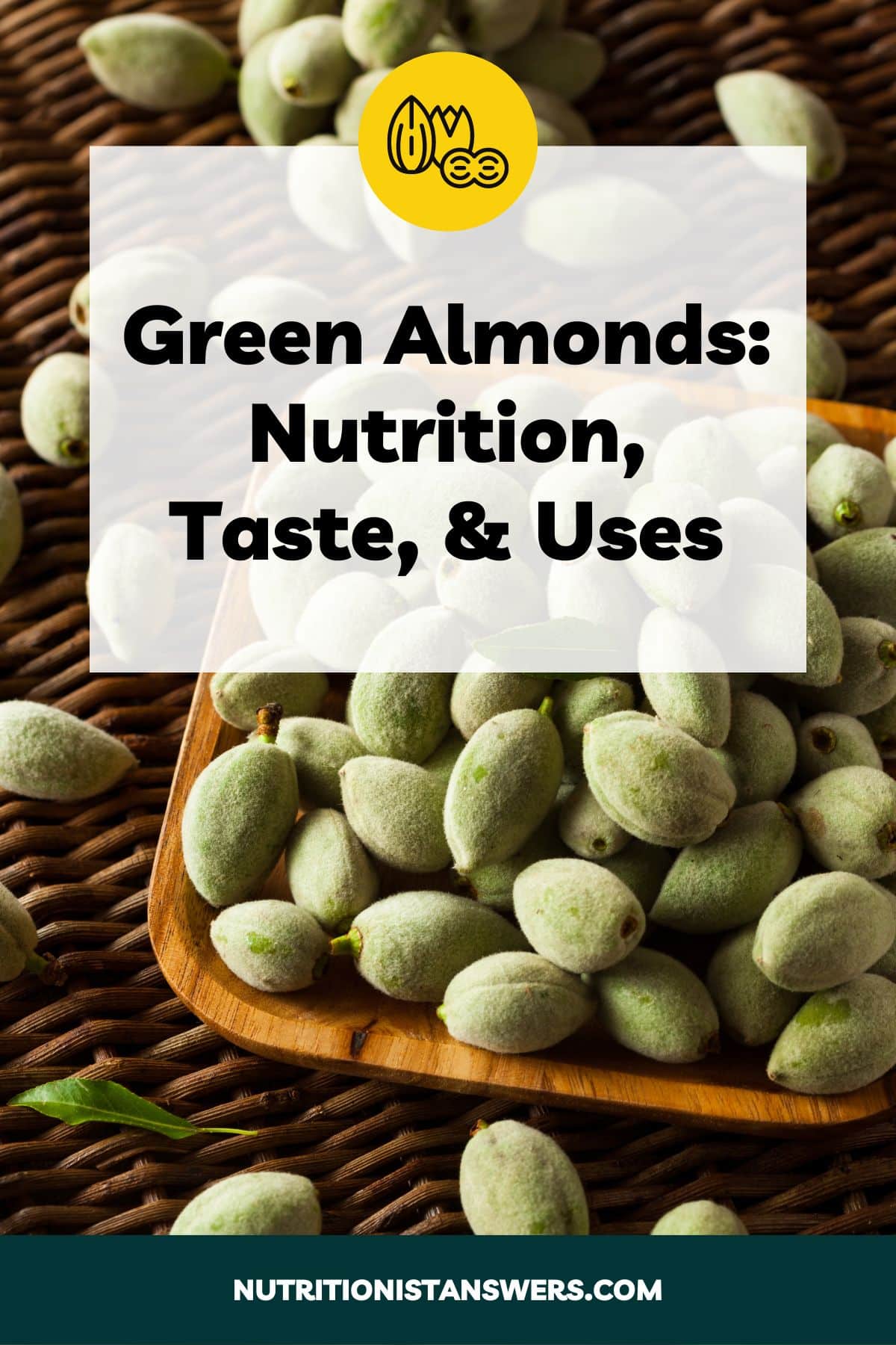 Green Almonds: Nutrition, Taste, & Uses