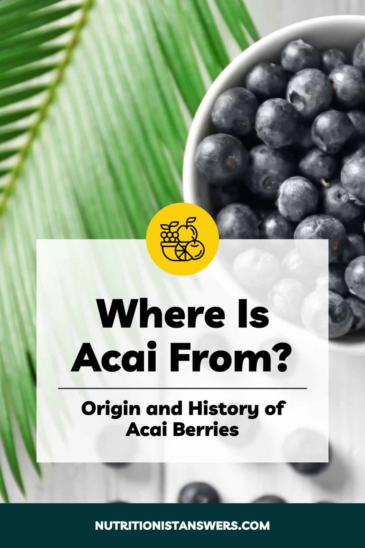Where Is Acai From? Origin and History of Acai Berries